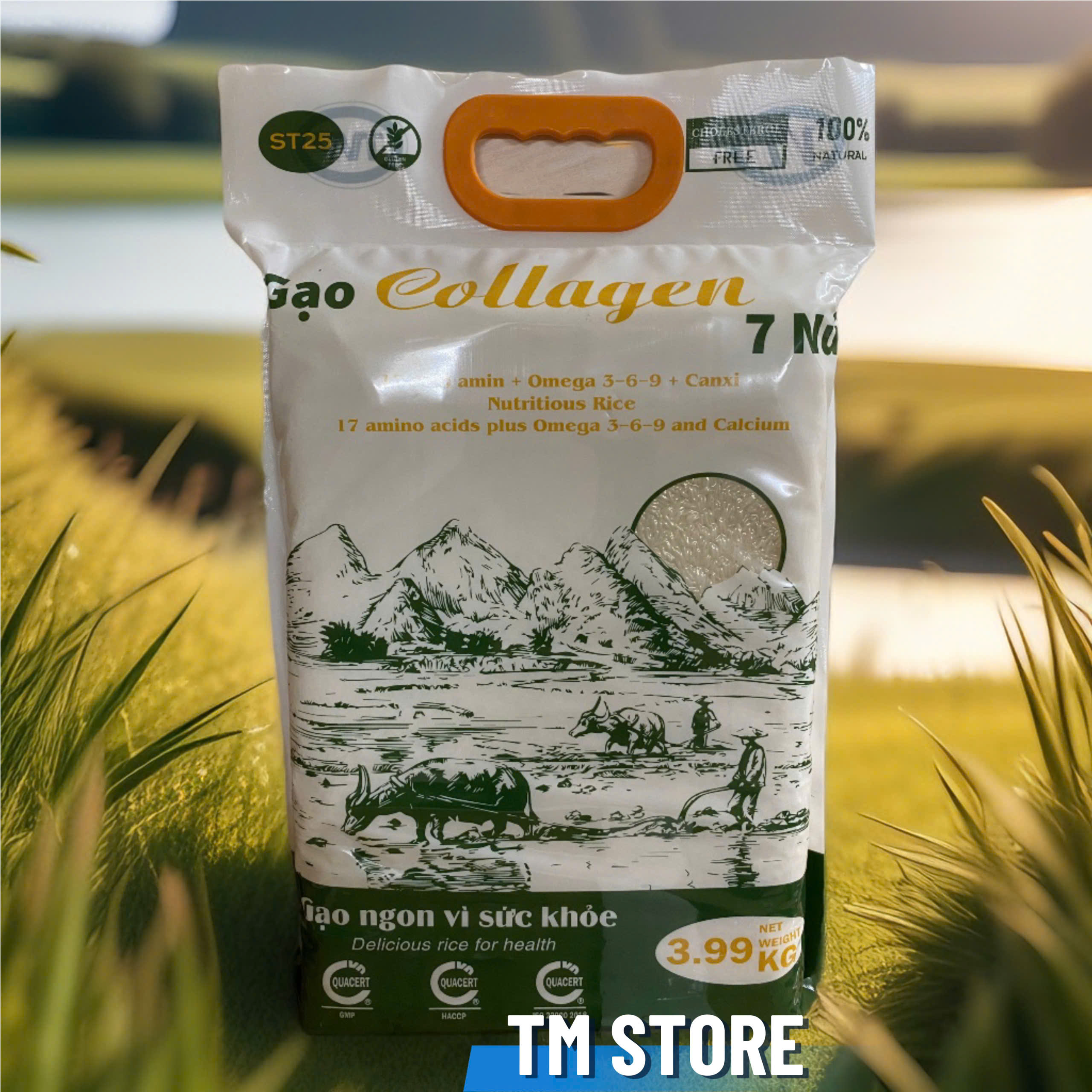 GẠO ST25 COLLAGEN